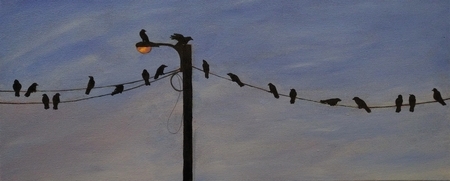 CoRvid 19
