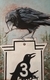 Crowsnest Home