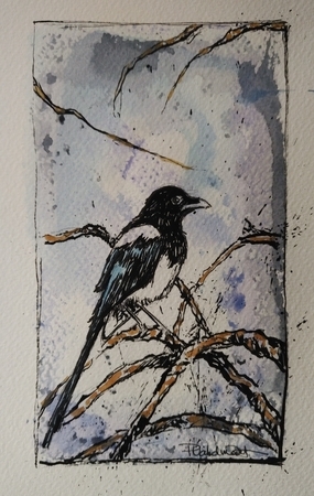 Magpie in the Branches