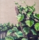 Within The Vineyard
