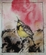 Last Call - Meadowlark