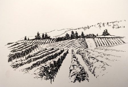 Wine Country, Naramata Bench