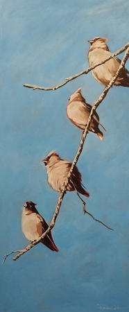 Out On A Limb