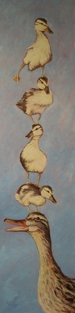 Acroducks