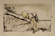The Last Ledge