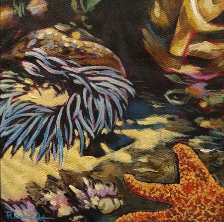 Tidepool Anenome