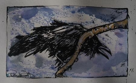 Ruffled Feathers