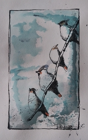 Support Your Local Waxwing
