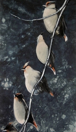 Waxwings