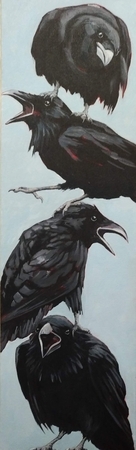 What's All the Squawkin' About?